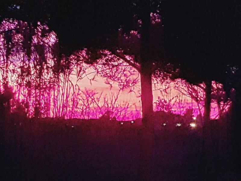 ¿Por qué la guerra? Cartas entre Albert Einstein y Sigmund Freud.